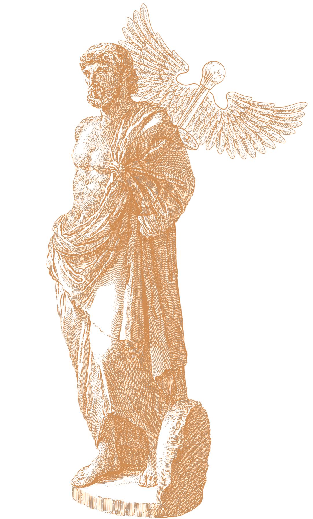 Sexgevity Branding Deck 2025 (23)